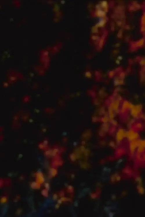 Movie poster "The Harrowing"