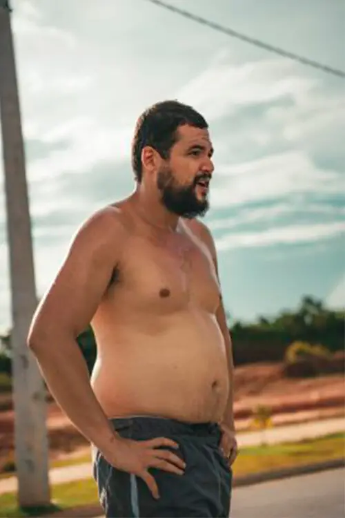 Movie poster "Obeso Mórbido"