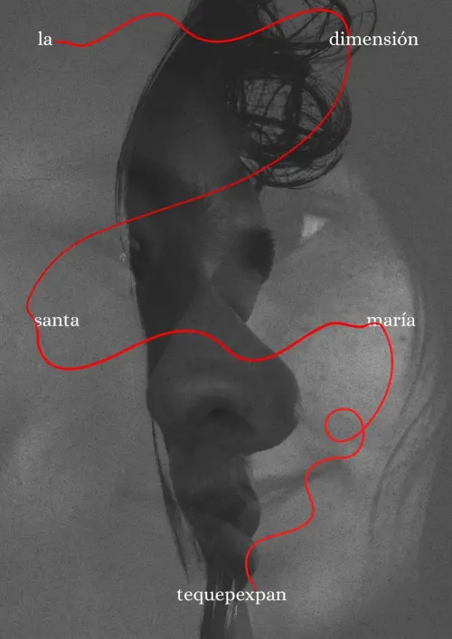 Movie poster "la dimensión Santa María Tequepexpan"