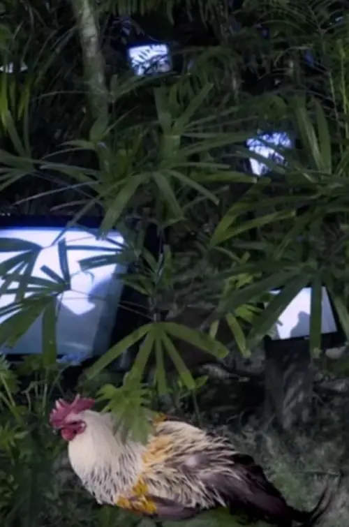 Movie poster "The Trace of the Box – Technicalized Good People"