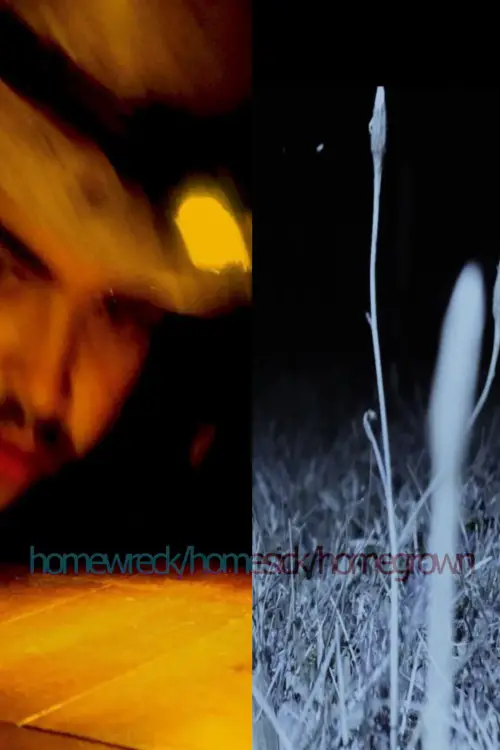 Movie poster "homewreck/homesick/homegrown"