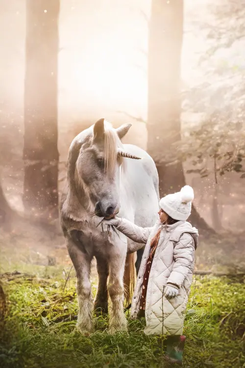 Movie poster "Tale of the Forest Unicorn"