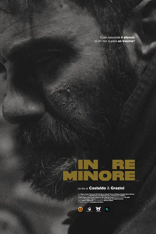 Movie poster "In Re Minore"
