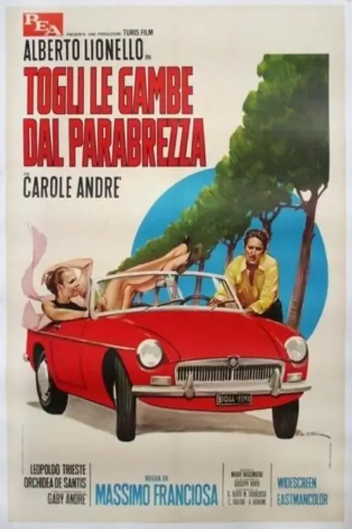 Movie poster "Togli le gambe dal parabrezza"