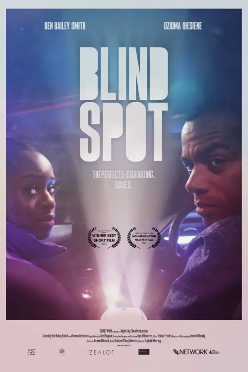 Movie poster "Blind Spot"