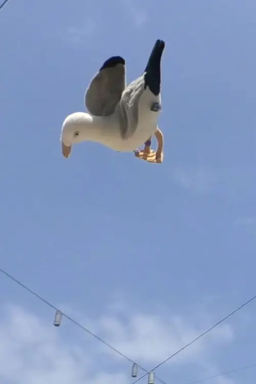 Movie poster "Double Jump"