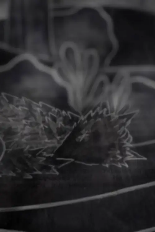 Movie poster "Still February"