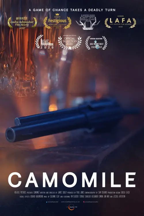 Movie poster "Camomile"