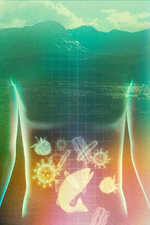 Movie poster "Magen i norr"