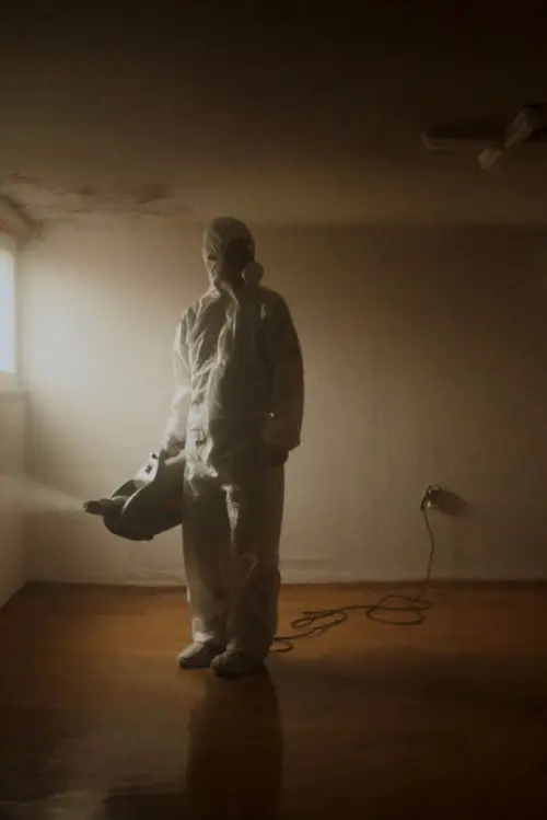 Movie poster "Way home"