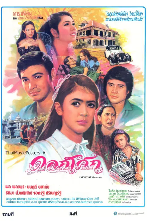 Movie poster "Doksoke"