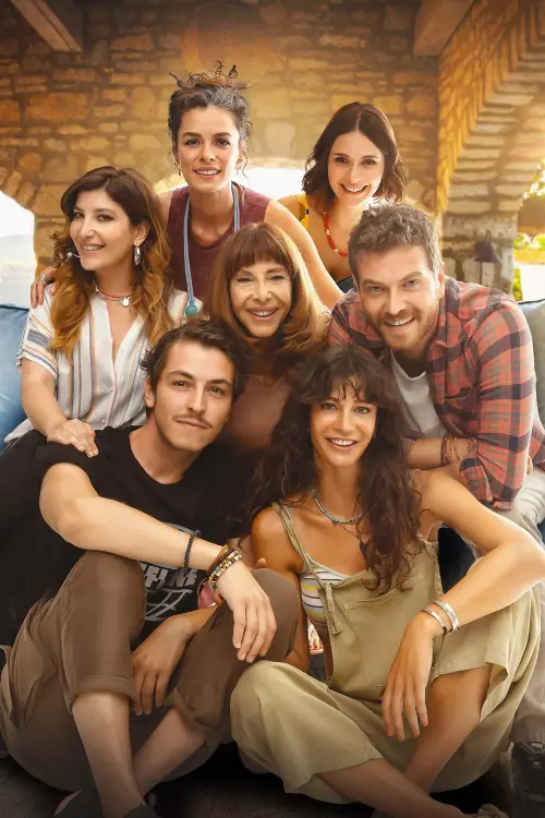 Movie poster "The Way We Are"