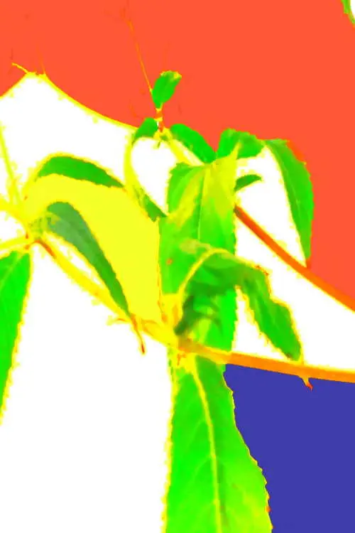 Movie poster "Baptism on Pohorje"