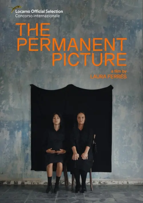 Movie poster "The Permanent Picture"