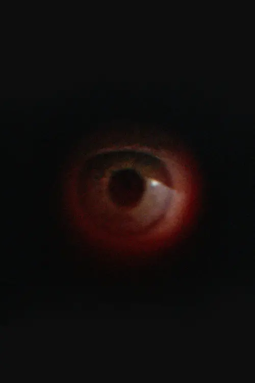 Movie poster "Safe/Sound"