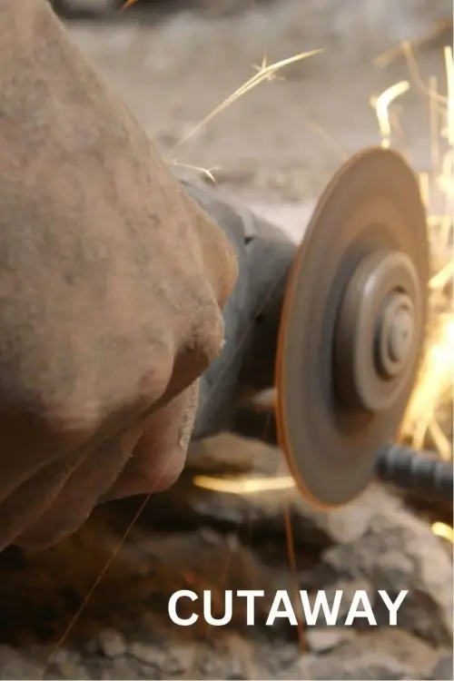 Movie poster "Cutaway"