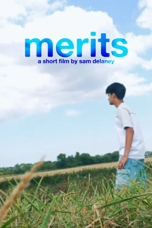 Movie poster "Merits"