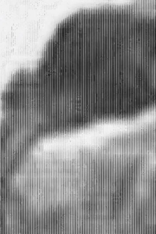 Movie poster "Anatomy Class (Chap.2)"