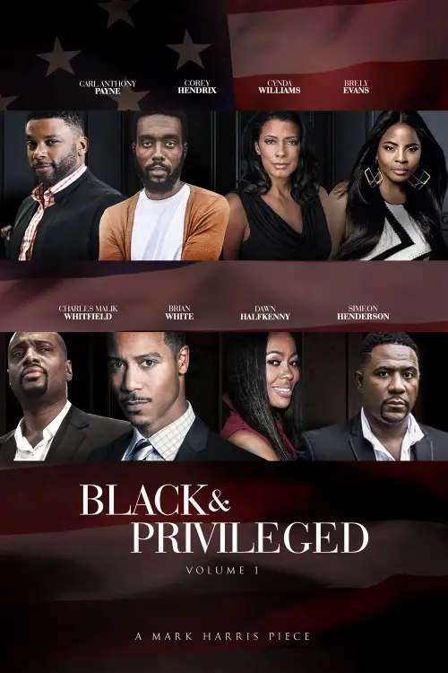 Movie poster "Black & Privileged: Volume 1"
