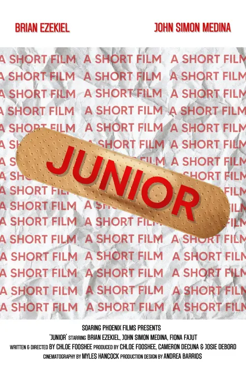 Movie poster "Junior"