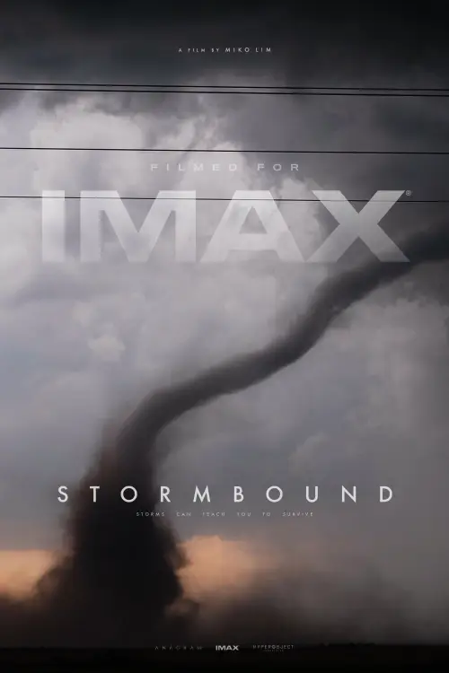 Movie poster "Stormbound"