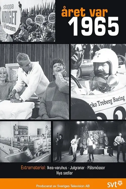 Movie poster "Året var 1965"
