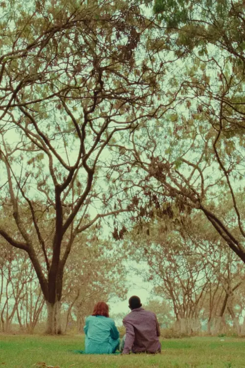 Movie poster "Les Choix"