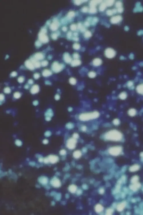 Movie poster "Song 21"