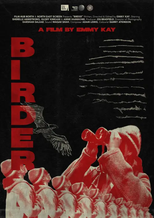 Movie poster "Birder"