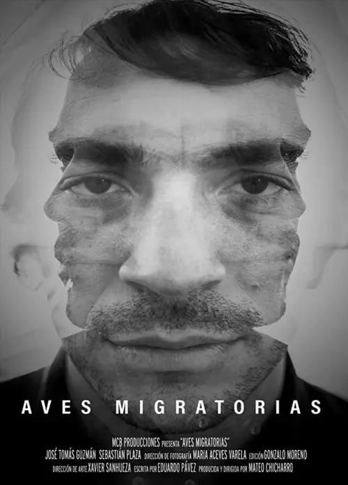 Movie poster "Migratory Birds"