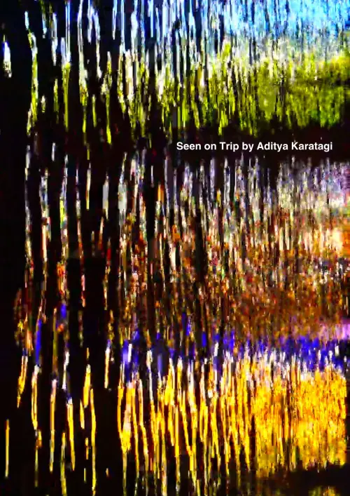 Movie poster "Seen on Trip"