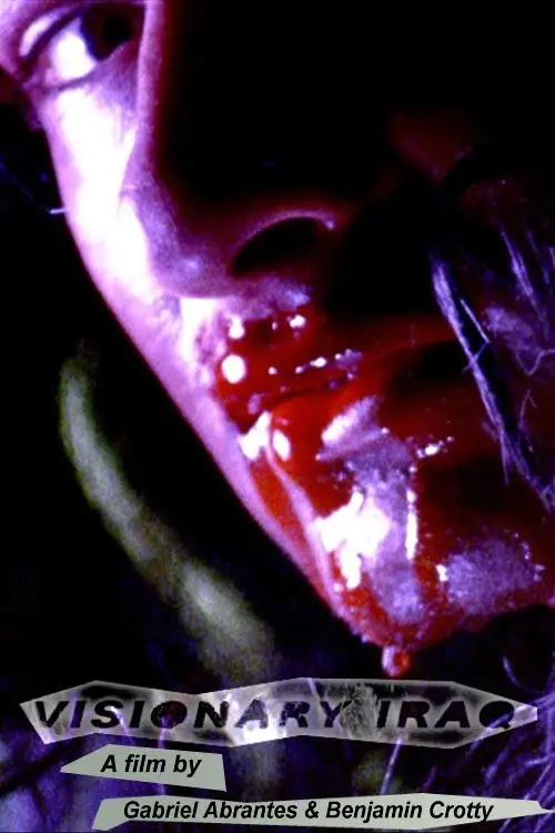 Movie poster "Visionary Iraq"