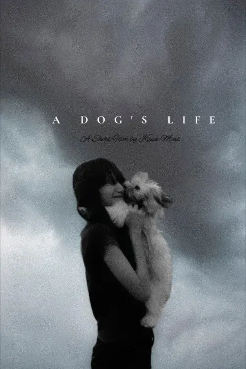 Movie poster "A Dog