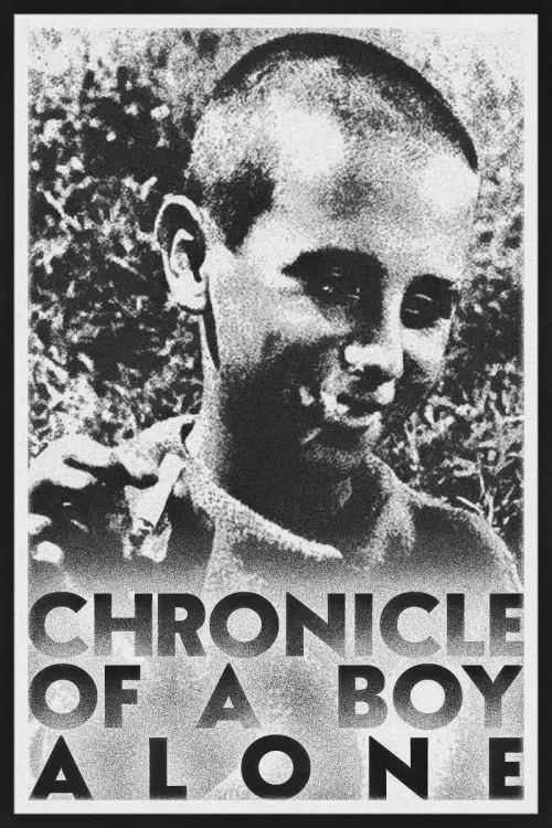 Movie poster "Chronicle of a Boy Alone"