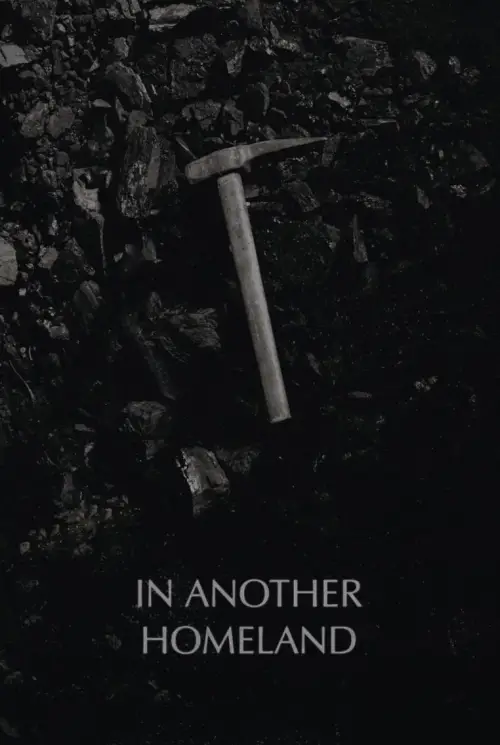 Movie poster "In Another Homeland"