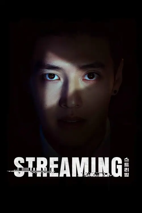 Movie poster "Streaming"