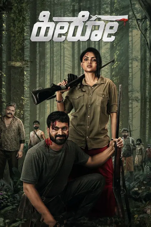 Movie poster "Hero"