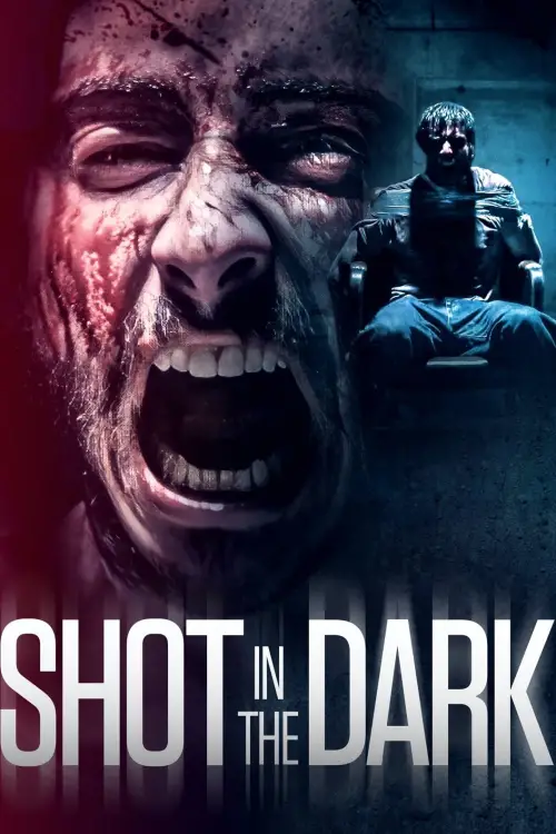 Movie poster "Shot in the Dark"