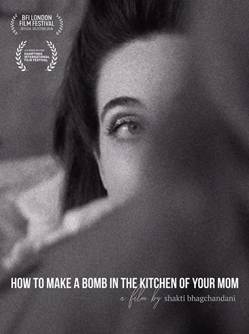 Movie poster "How to Make a Bomb in the Kitchen of Your Mom"