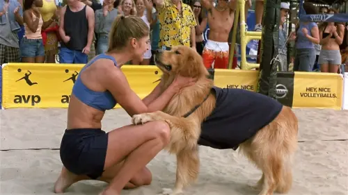 Watch film Air Bud: Spikes Back | Air Bud Spikes Back - Trailer