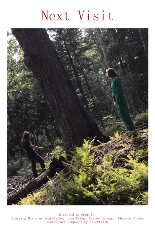 Movie poster "Next Visit"