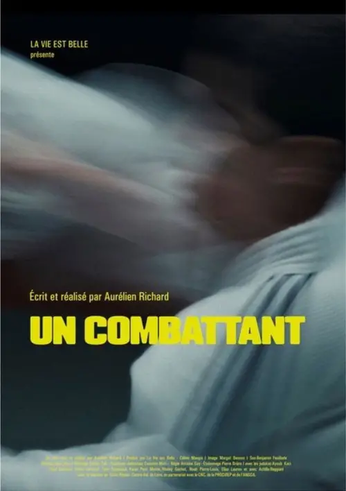 Movie poster "A fighter"