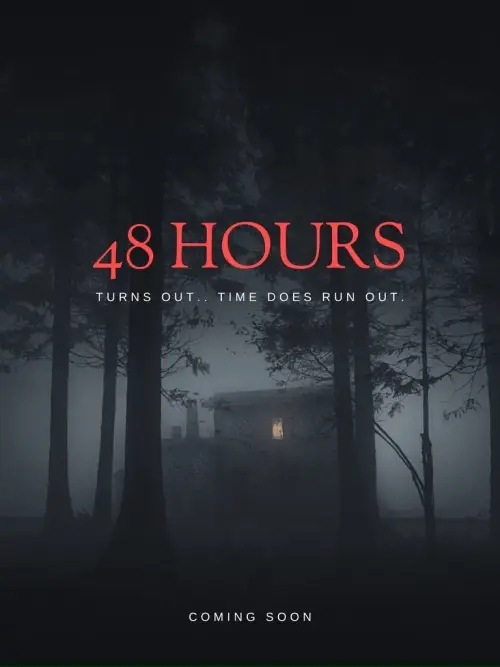 Movie poster "48 Hours"