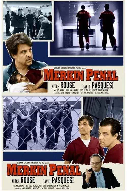 Movie poster "Merkin Penal"