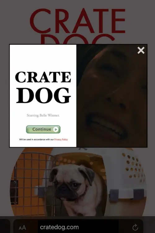 Movie poster "Crate Dog"