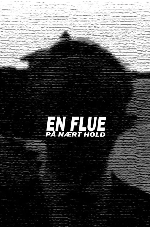 Movie poster "A Fly Up Close"