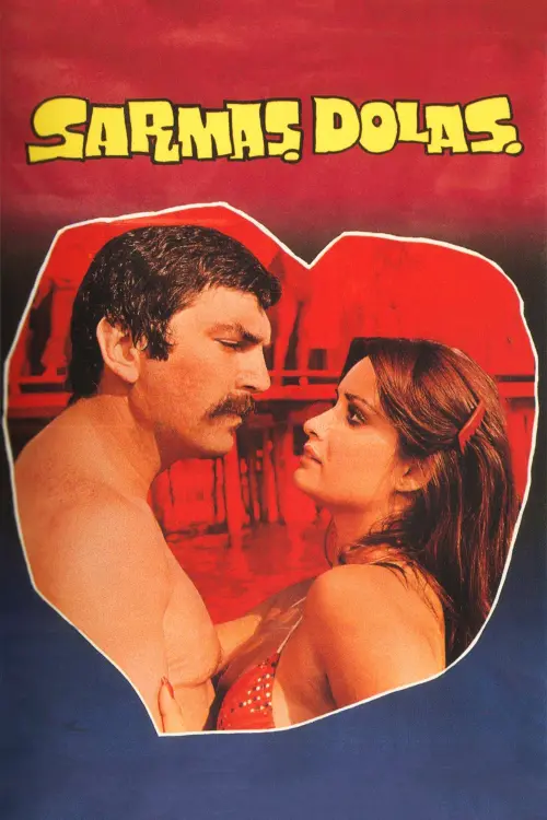 Movie poster "Sarmaş Dolaş"
