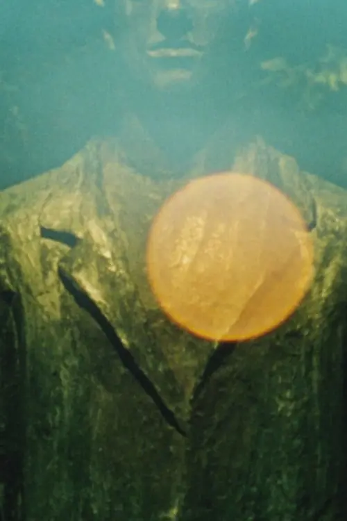 Movie poster "Seasonal Concerns"