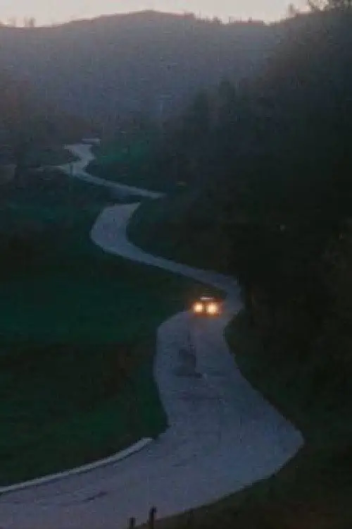 Movie poster "At Night"