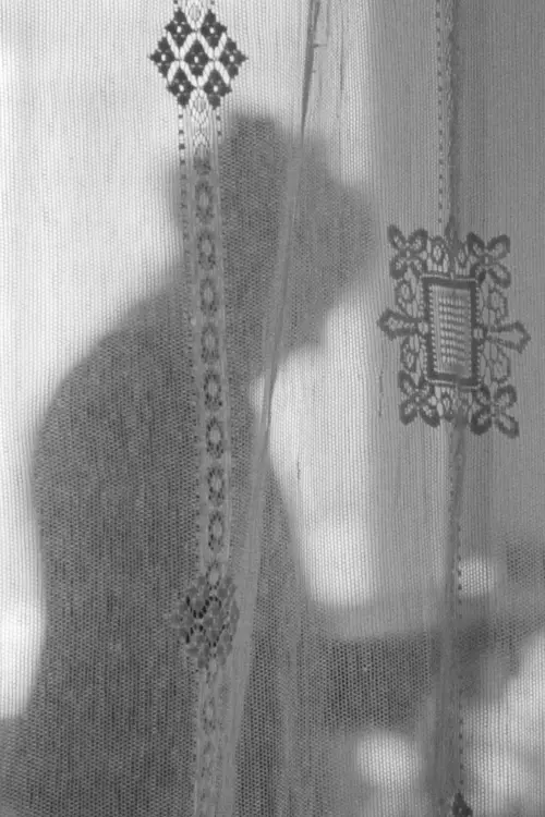 Movie poster "Janine’s Room"